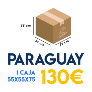 orinoco-express-envios-madrid-latinoamerica-maritimo-paraguay